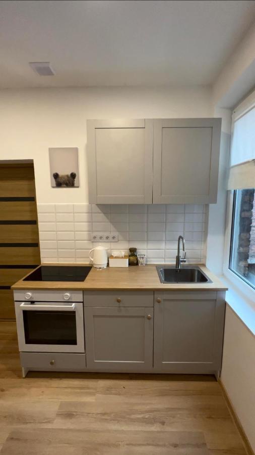 Wood Apartment Катовице Экстерьер фото
